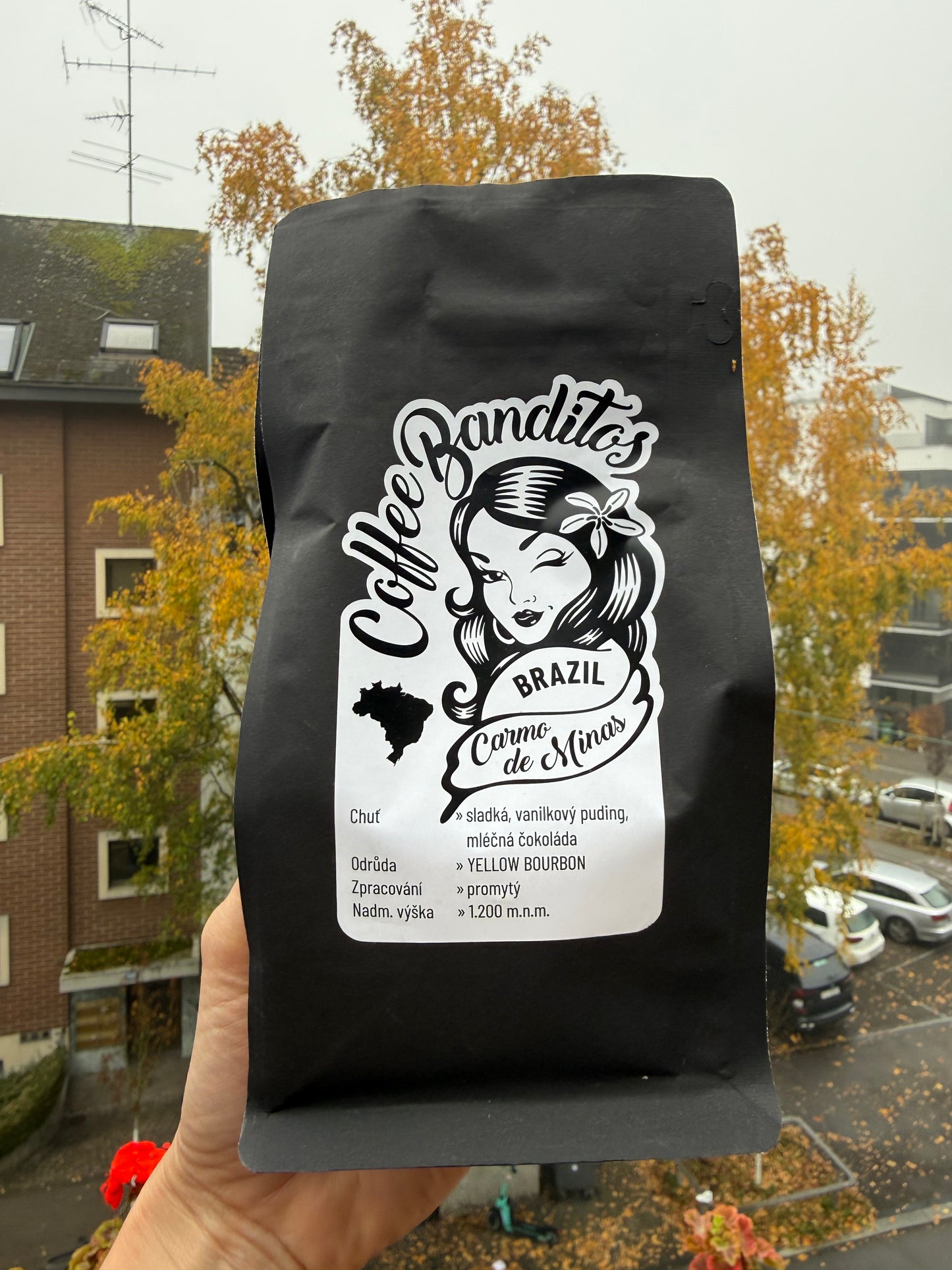 Kaffeebohnen – Brazil – Carmo de Minas